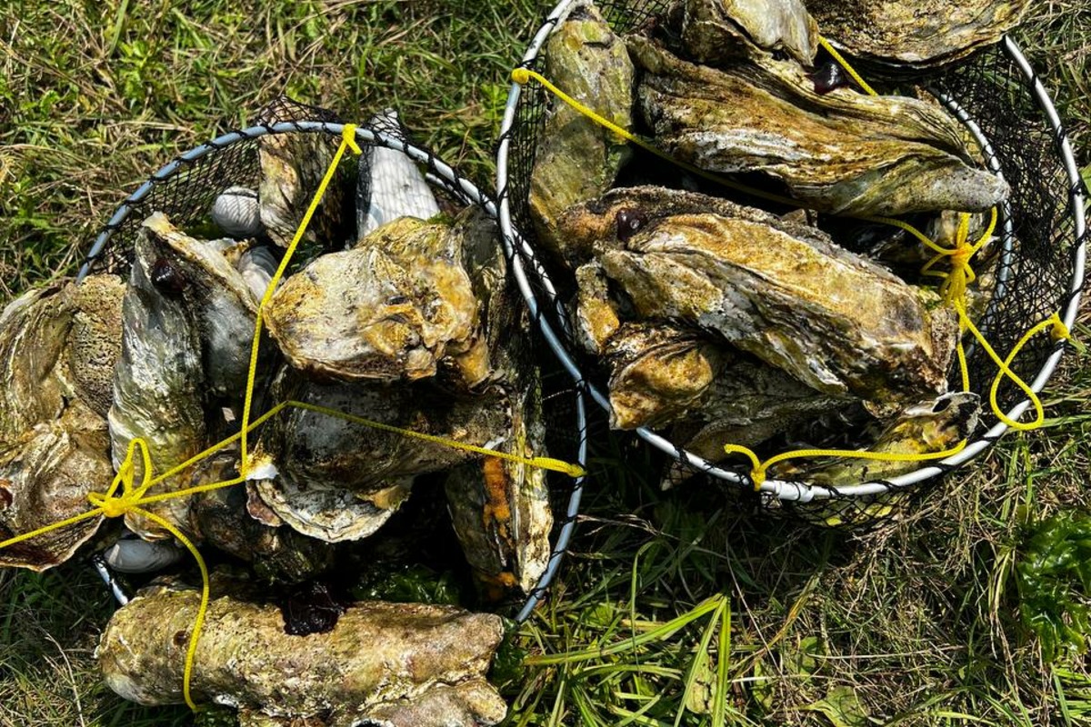 Гастрономическая экскурсия на озере Буссе