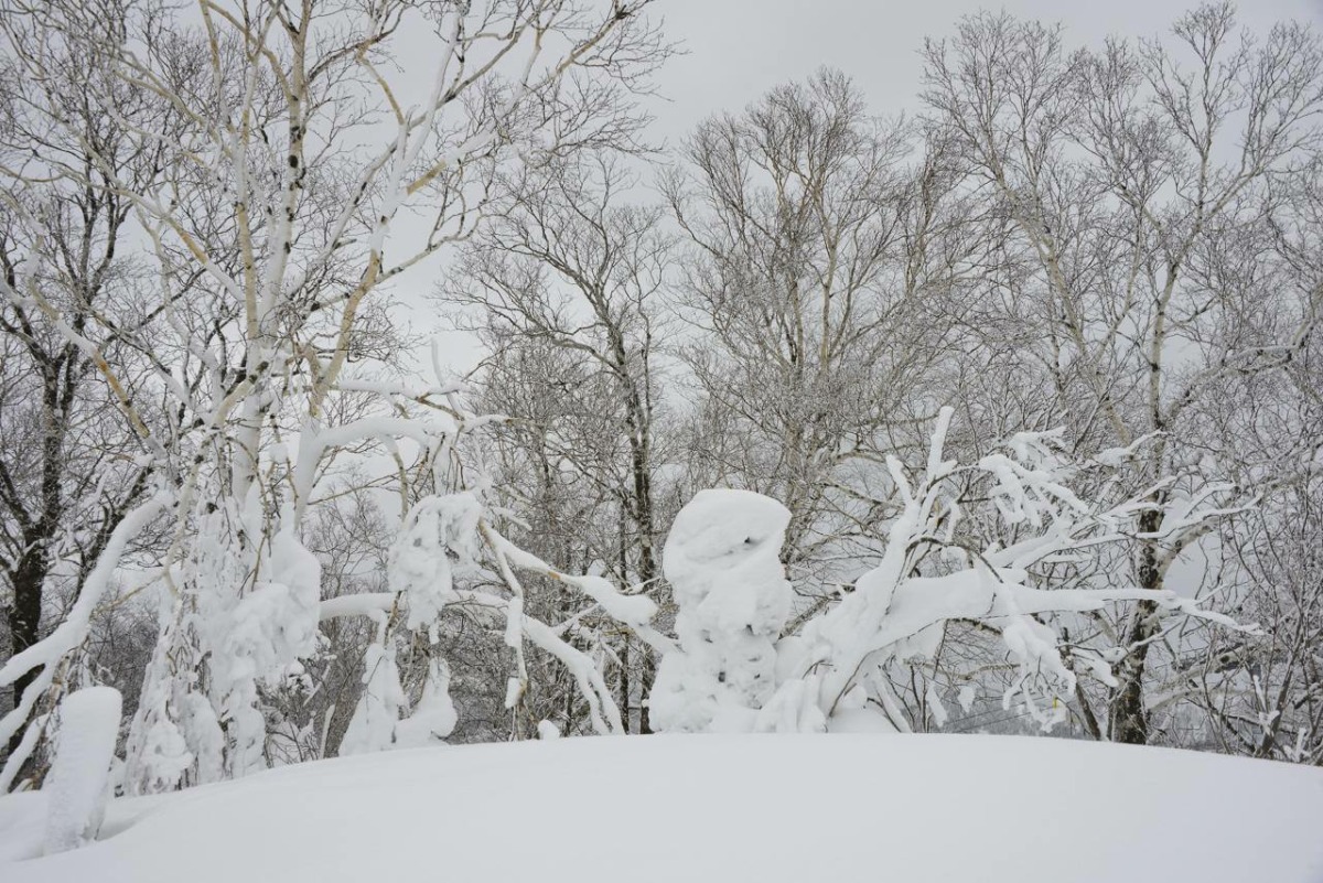 Куда отправиться, пока за окном метель?